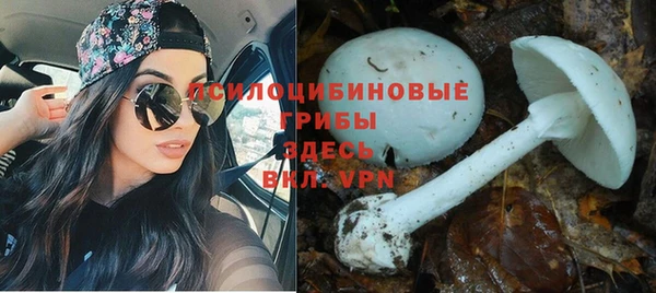соль курить ск Алексеевка